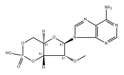 2'-O-Me-cAMP Structure