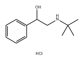 Benzenemethanol, α-[[(1,1-dimethylethyl)amino]methyl]-, hydrochloride (1:1) 구조식 이미지