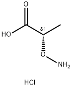 Propanoic acid, 2-(aminooxy)-, hydrochloride (1:1), (2S)- Structure