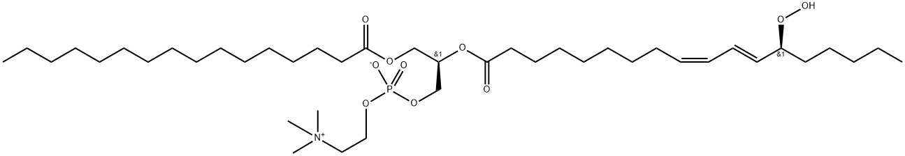 1-Palmitoyl-2-13(S)-HpODE-sn-glycero-3-PC Structure