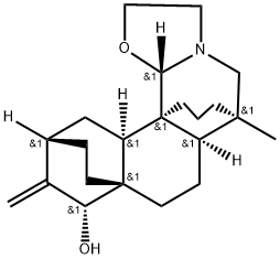 atisine Structure