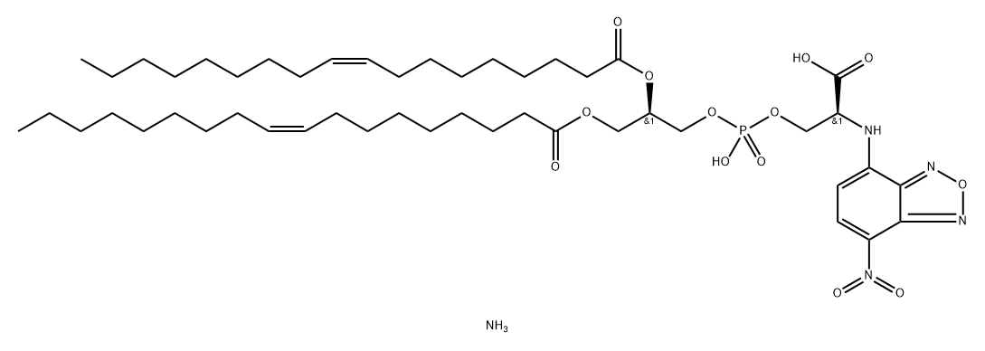 18:1 NBD PS Structure