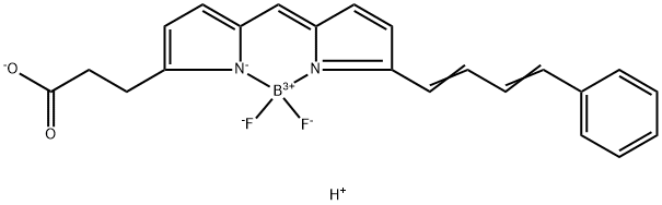 BODIPY 581/591 carboxylic acid Structure