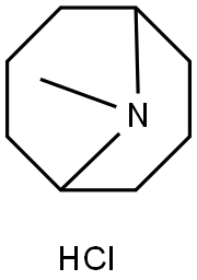 9-Azabicyclo[3.3.1]nonane, 9-methyl-, hydrochloride (1:1) Structure