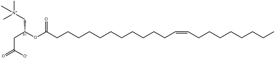 1-Propanaminium, 3-carboxy-N,N,N-trimethyl-2-[(1-oxo-13-docosenyl)oxy]-, inner salt, [R-(Z)]- (9CI) 구조식 이미지
