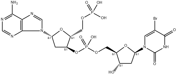 poly (dA-BrdU) Structure