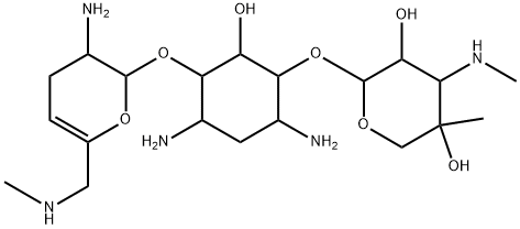 6'-N-methylsisomicin Structure