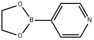 4-(1,3,2-Dioxaborolan-2-yl)pyridine Structure