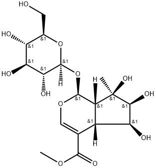 LAMALBID Structure