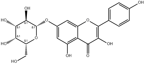 4H-1-Benzopyran-4-one, 7-(β-D-galactopyranosyloxy)-3,5-dihydroxy-2-(4-hydroxyphenyl)- Structure