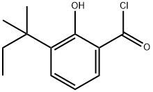 3-(1,1-Dimethylpropyl)-2-hydroxybenzoyl chloride Structure