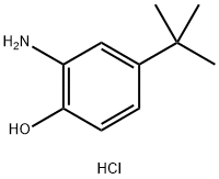 2-Amino-4-(tert-butyl)phenol hydrochloride Structure