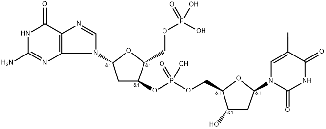 polydeoxy(guanine-thymine) nucleotide Structure