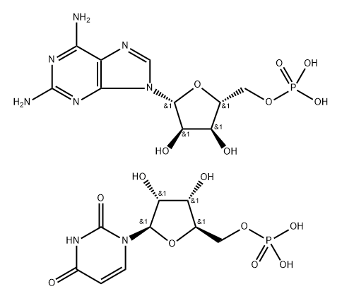 poly(2-aminoadenylic acid)-poly U Structure