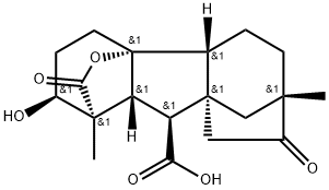 gibberellin C Structure