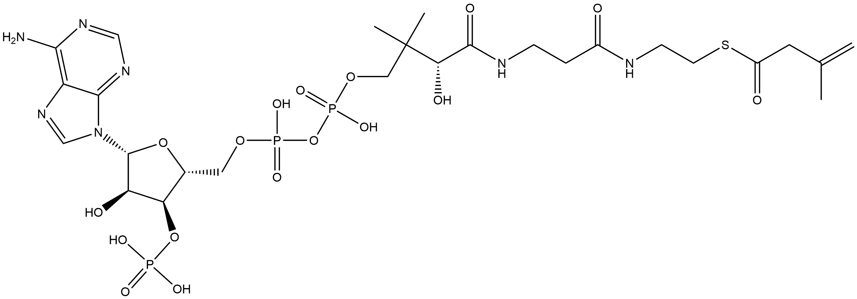 Coenzyme A, S-(3-methyl-3-butenoate) Structure