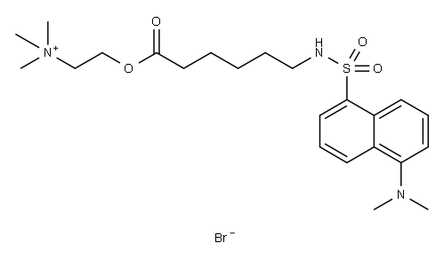 (1-(5-dimethylaminonaphthalene)sulfonamido)-n-hexanoic acid-beta-N-trimethylammonium ethyl ester 구조식 이미지