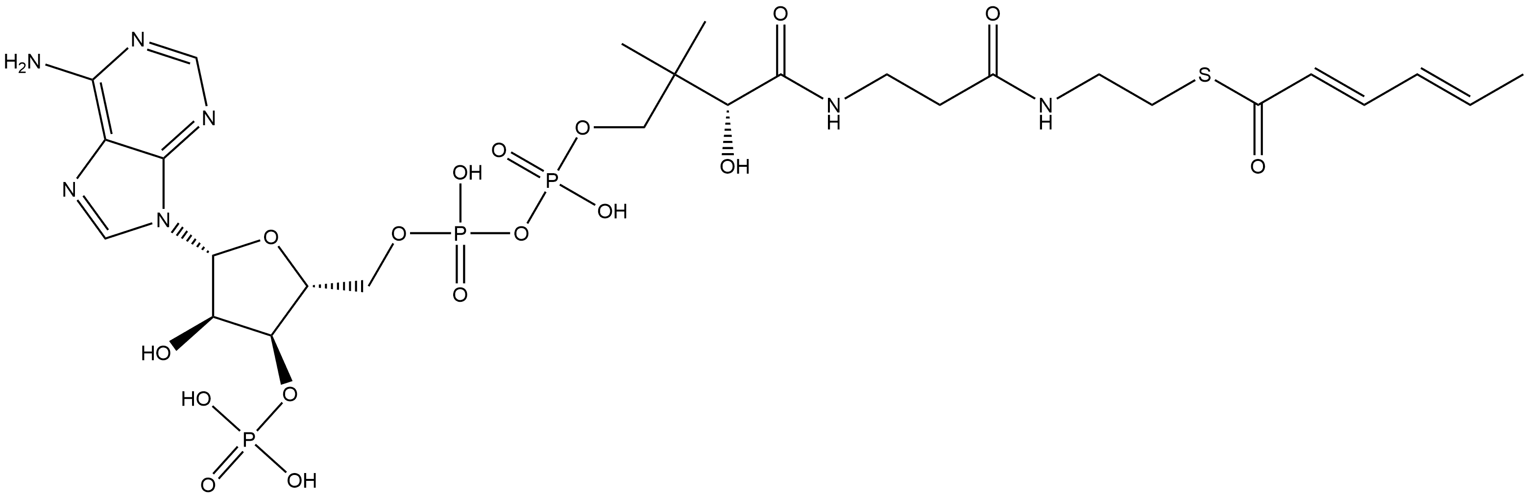 Coenzyme A, S-(2E,4E)-2,4-hexadienoate Structure