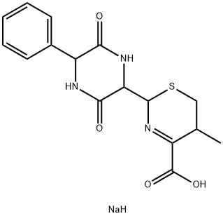 2H-1,3-Thiazine-4-carboxylic acid, 2-(3,6-dioxo-5-phenyl-2-piperazinyl)-5,6-dihydro-5-methyl-, sodium salt (1:1) 구조식 이미지