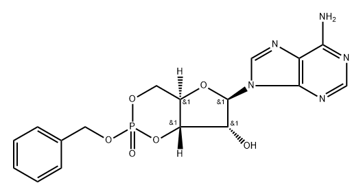 cAMP-Bn Structure