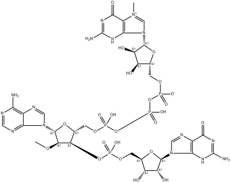 Guanosine, 7-methylguanylyloxyphosphinicooxyphosphinico-(5'→5')-2'-O-methyladenylyl-(3'→5')-, inner salt (9CI) Structure