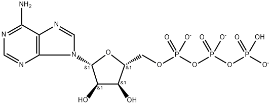 Adenosine 5'-(tetrahydrogen triphosphate), ion(3-) Structure