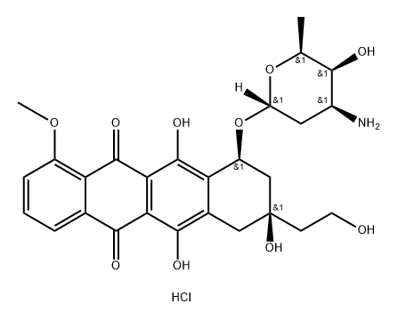 Intermediate Structure