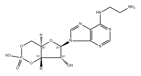 6-AE-cAMP Structure