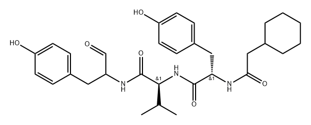 TP101 Structure