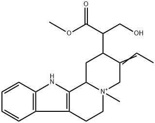 diploceline Structure