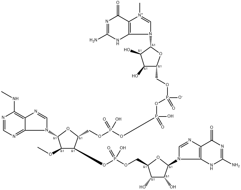 Guanosine, 7-methylguanylyloxyphosphinicooxyphosphinico-(5'→5')-N-methyl-2'-O-methylguanylyl-(3'→5')-, inner salt (9CI) Structure