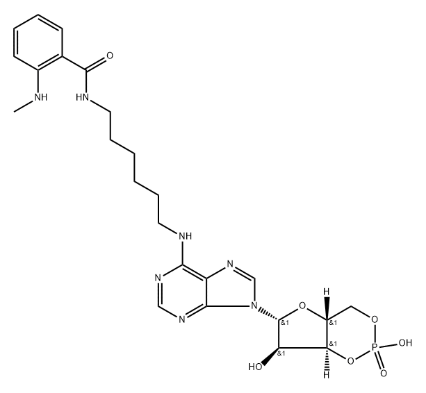 6-MAH-cAMP Structure