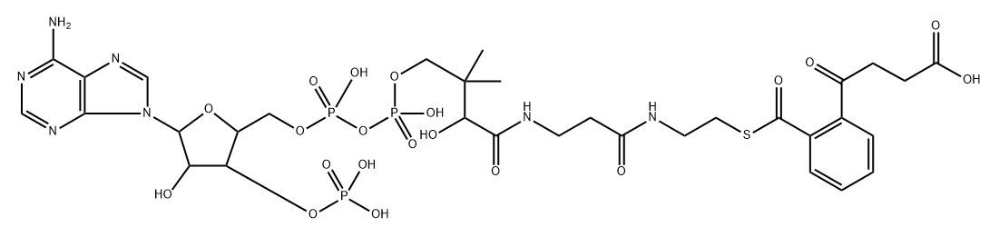 2-succinylbenzoyl-coenzyme A Structure