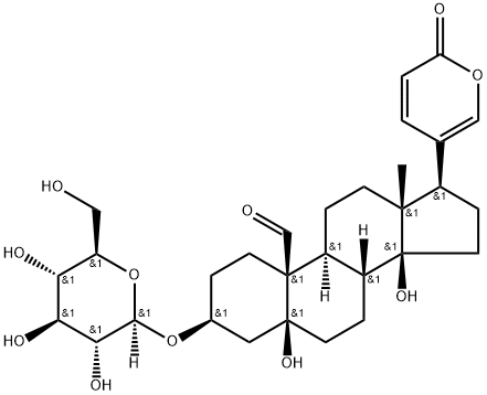 3β-(D-Glucopyranosyloxy)-5,14-dihydroxy-19-oxo-5β-bufa-20,22-dienolide 구조식 이미지