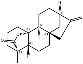 (4R)-10-Hydroxy-9α-methyl-20-norkaur-16-en-18-oic acid 18,10-lactone Structure