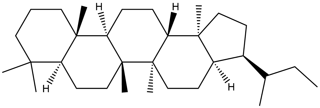 17α(H),21α(H)-(22RS)-Homohopane Structure