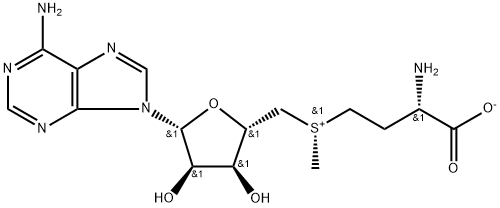 Adenosine, 5'-[(S)-[(3S)-3-amino-3-carboxypropyl]methylsulfonio]-5'-deoxy-, inner salt Structure
