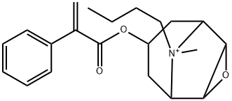 (1R,2R,4S,5S,7s,9r)-9-butyl-9-methyl-7-((2-phenylacryloyl)oxy)-3-oxa-9-azatricyclo[3.3.1.02,4]nonan-9-ium 구조식 이미지