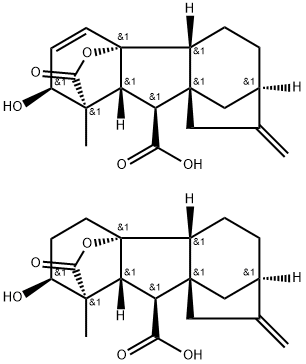 Novagib Structure