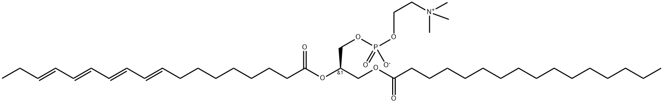 1-팔미토일-2-파리나로일포스파티딜콜린 구조식 이미지