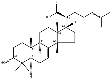 Lanosta-7,24-dien-21-oic acid, 3-hydroxy-, (3α,13α,14β,17α,20S)- 구조식 이미지