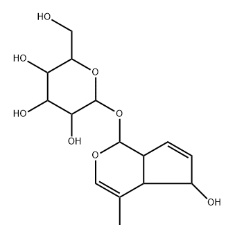 Loasaside Structure