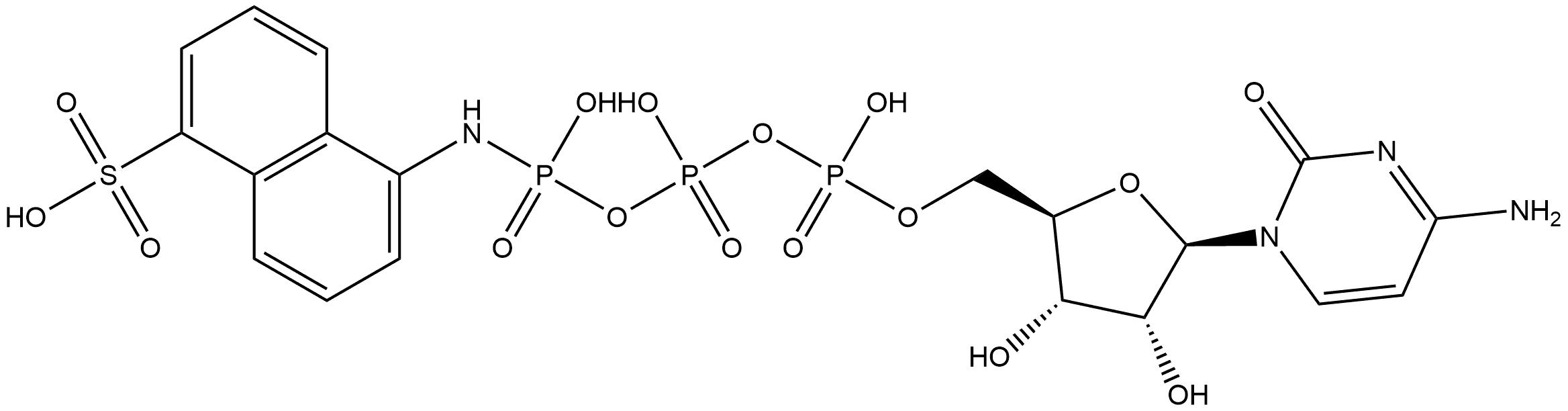 CTP-γ-AmNS Structure
