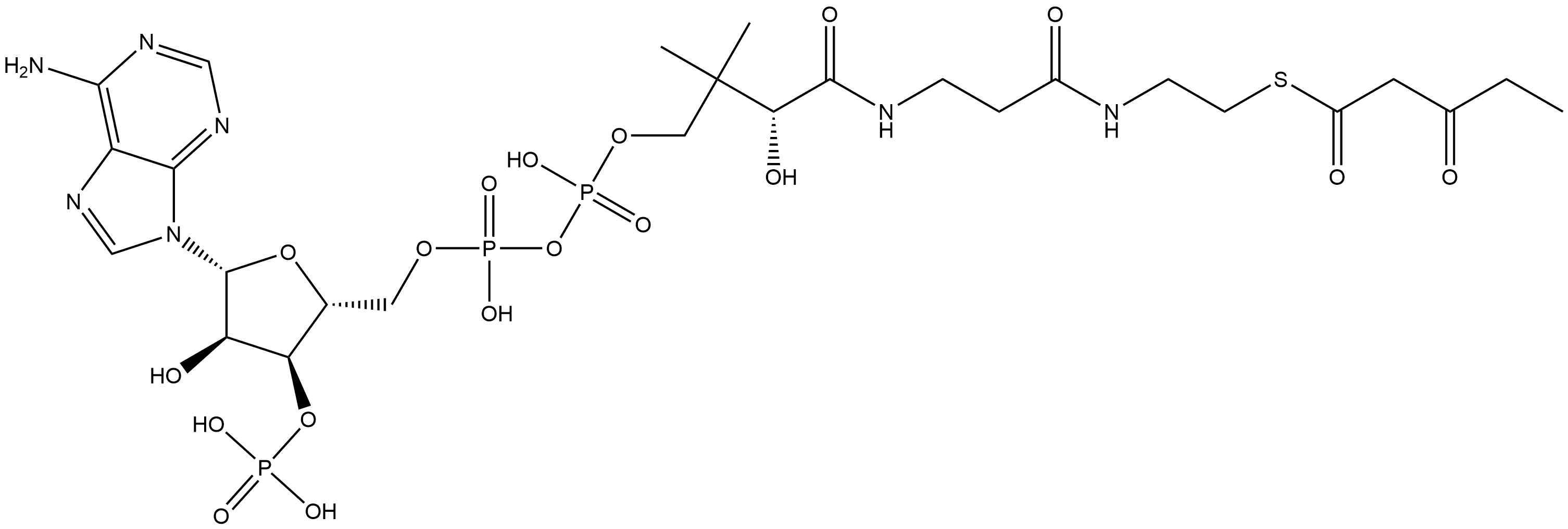 Coenzyme A, S-(3-oxopentanoate) Structure