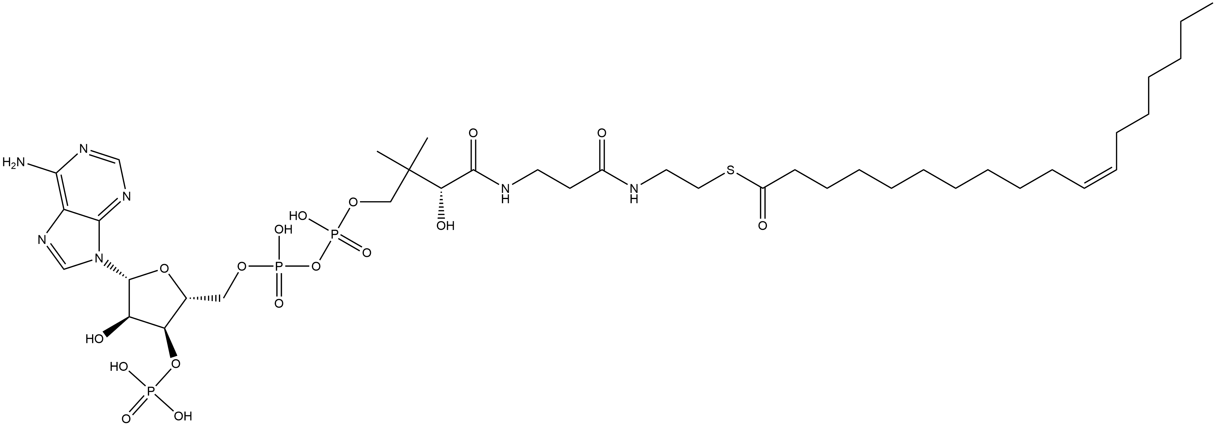 Coenzyme A, S-(11Z)-11-octadecenoate Structure