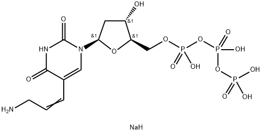 AA-dUTP Structure