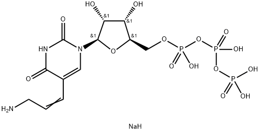 AA-UTP Structure