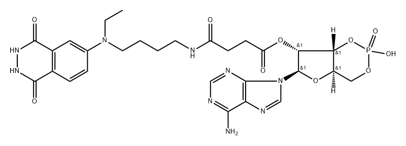 aminobutylethylisoluminol succinyl cyclic AMP Structure