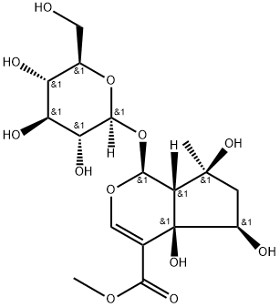 6beta-Hydroxyipolamiide 구조식 이미지
