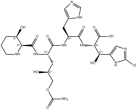 GE81112 A/B Structure